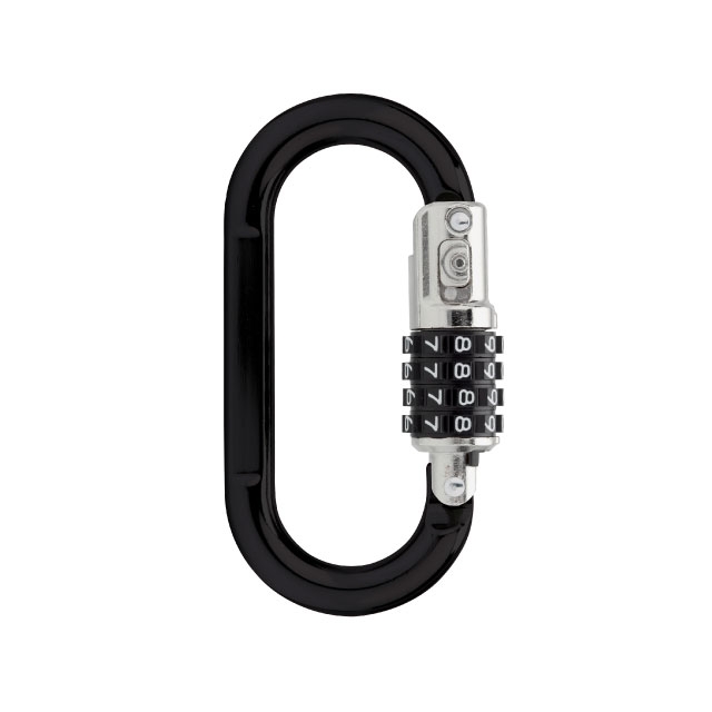 PL0171 Password Carabiner Black - SINOX