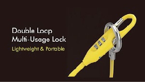 Double Loop Multi-Usage Lock